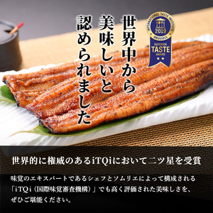 うなぎ 国産うなぎ蒲焼きざみセット 蒲焼たれ100ml 1本 うなぎ