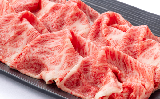 【食通の静岡牛】 肩ローススライス　500g×2P　すき焼き・しゃぶしゃぶ ブランド牛【配送不可地域：離島】