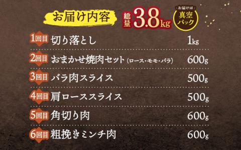 【6回定期便】ジビエ 天然イノシシ肉 バラエティ総量3.8kg  / 猪肉 いのしし イノシシ 猪鍋 ぼたん鍋 肉 切り落とし肉 スライス肉 ミンチ肉 いのしし肉【照本食肉加工所】 [OAJ073]