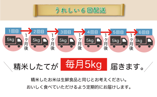 ＜令和7年産米＞ 令和7年12月下旬より配送開始 はえぬき【無洗米】30kg定期便 (5kg×6回)　鮭川村