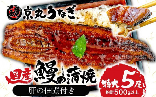 国産 うなぎ 蒲焼 たっぷり 5尾 約500g 鰻 肝 佃煮 ギフトボックス セット 老舗 専門店 うなぎ処京丸 静岡 土用 丑の日