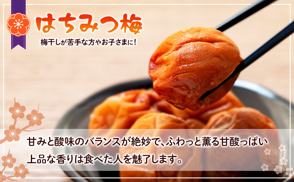 訳あり つぶれ 梅干し 合計2.1kg （350g×6パック） はちみつ 塩分約5％