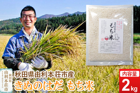 《予約受付》令和7年産【もち米】 2kg 秋田県由利本荘市産 きぬのはだ 精米 2kg