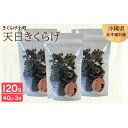 【ふるさと納税】天日きくらげ【40g×3袋】　きくらげ小町