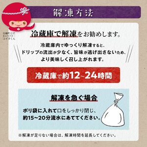 紅鮭切り身【2.0kg】魚 鮭 さけ サケ 切り身 焼鮭 焼き魚 人気 ふるさと 海鮮 海鮮食品 魚介類 魚介 北海道 白糠町_I019-1454