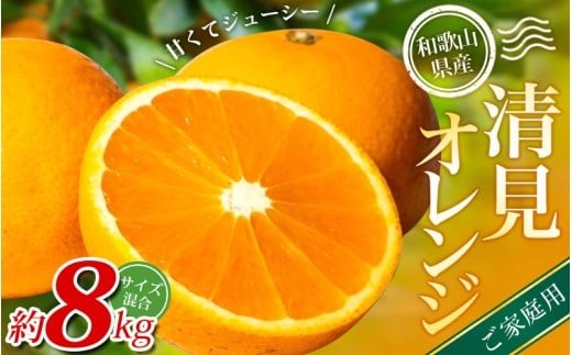 【ご家庭用】手選別 清見オレンジ 約8kg 和歌山県産 2S~2Lサイズ混合※2026年2月上旬～6月上旬頃に順次発送【mrmt048】