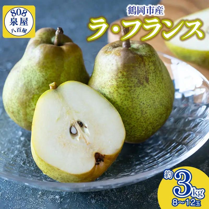 【令和8年産先行予約】鶴岡市産 ラ・フランス（洋梨） 約3kg（8～12玉）　K-822　泉屋商店