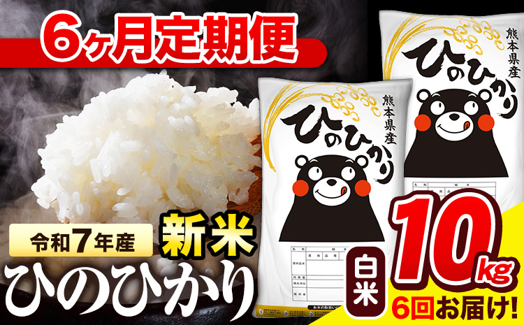 新米 令和7年産 白米 【6ヶ月定期便】 ひのひかり 10kg《11月から出荷開始》 熊本県産 白米 精米 氷川町 ひの 送料無料 ヒノヒカリ コメ 便利 ブランド米 お米 おこめ 熊本