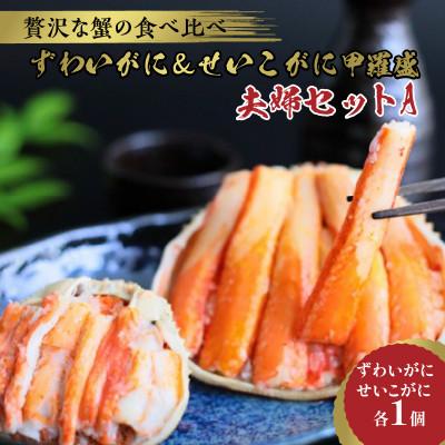 ふるさと納税 京丹後市 【先行予約】☆蟹の宝石箱☆【贅沢なカニの食べ比べ】ずわいがに&amp;せいこがに甲羅盛 夫婦セットA