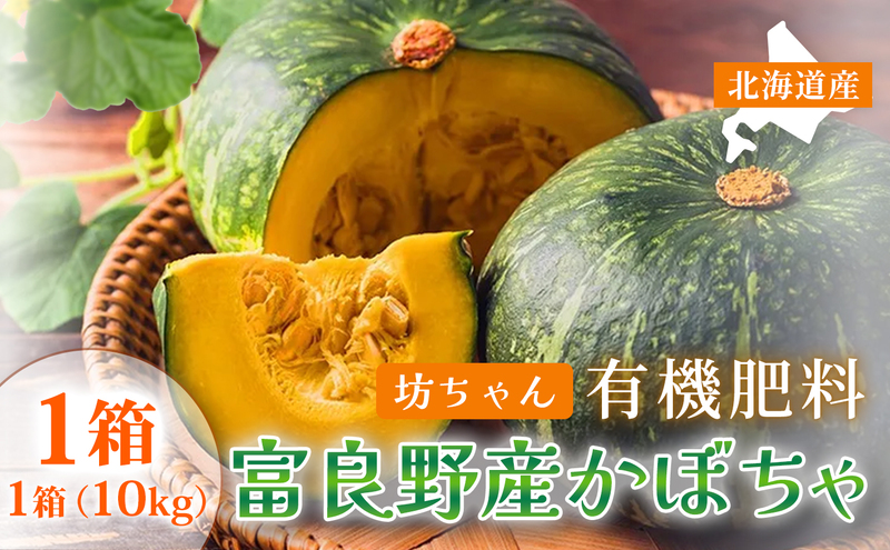 【秋の味覚 北海道産 小玉カボチャ】坊ちゃんカボチャ 無選別 10kg×1箱｜北海道富良野市 9～10月発送 野菜 料理用 家庭用 シェア用 ホクホク 濃厚 甘い 黒皮カボチャ かぼちゃ 坊ちゃん 南瓜 料理 秋季限定