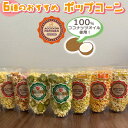 【ふるさと納税】100％ココナッツオイル使用！6種のおすすめポップコーン【 食品 加工食品 お菓子 ポップコーン 6種 オススメ 食べ比べ ゴーヤーチップス 485g サクサク ゴーヤー 苦瓜 おやつ 間食 パーティ イベント プレゼント 贈答 贈り物 ギフト 沖縄 Accendo Popcorn 】