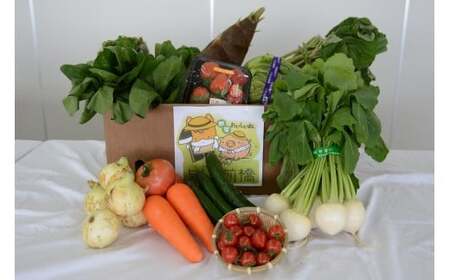 赤城南麓で育った季節の野菜 | 野菜 野菜 野菜 野菜 野菜 野菜