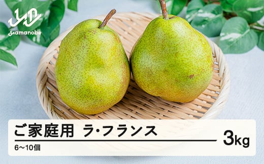 《先行予約》2025年 山形県産 ご家庭用 ラ・フランス 3kg（6~10個） 2025年10月下旬頃から順次発送 tj-lakxx3