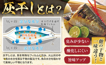 灰干しさば Mサイズ 8枚 真空包装 松田商店