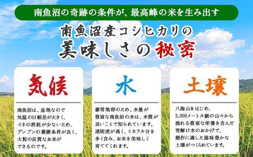 【定期便】新潟県 南魚沼産 コシヒカリ お米 5kg×計12回 精米済み 年間 毎月発送 （お米の美味しい炊き方ガイド付き）