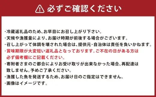 北海道産 船上活〆サケメス 約2.5kg 【2026年9月上旬～10月下旬まで発送予定】 鮭 イクラ 卵 活〆 塩焼き 冷凍 旬 魚 魚類 魚介 魚介類 食材 国産 サケ さけ フライ ムニエル サケ