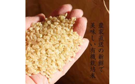 令和8年産新米【有機栽培米】丹波篠山産コシヒカリ　玄米　5kg 兵庫県 丹波篠山市 げんまい 100％単一原料米 産地直送米 おいしい お米 コシヒカリ ブランド おこめ 健康 送料無料 おすすめ 人気 口コミ