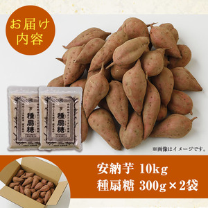 n233 <期間限定・数量限定!>種子島産安納芋とお砂糖のセット「安納芋(10kg)」「種扇糖(300g×2袋)」 国産 鹿児島県産 種子島 自社栽培 さとうきび とうきび 砂糖きび たねおうぎとう