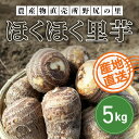 【ふるさと納税】【先行予約】土づくりからこだわったほくほく里芋【5kg】 ※数量限定 ANAR003 / 数量限定 里芋 さといも 里いも サトイモ 冬の味覚 国産 群馬県産 先行予約