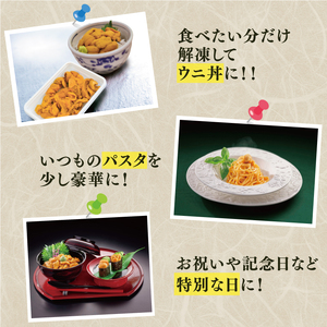 半生うに 200g 100g×2 ＼ うに ／