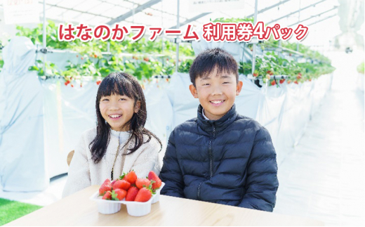 
観光農園はなのかファーム利用券10枚綴り[№5787-0838]
