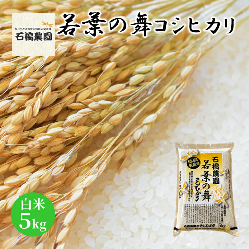 【ふるさと納税】米 若葉の舞 コシヒカリ 白米5kg こしひかり お米 白米 精米 千葉 千葉県 低温保存