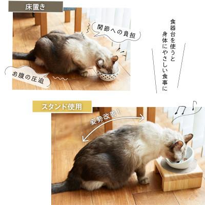 ふるさと納税 新居浜市 ペット用 フードボウルスタンドセット 国産ヒノキ 「ネコトキ」(シングル)ペールブルー |  | 01