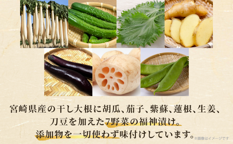 ＼ポスト投函／福神漬け100g おかず 漬物 野菜 加工品 国産_T037-011