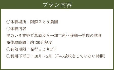 【 体験期間 6月1日ー9月30日 】 羊 飼いと行く 阿蘇 の草原歩き 体験 「私も 羊 も パートナー 」 4名様1組  体験 動物 羊 熊本県 自然 チケット 観光 レジャー