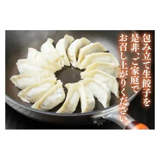新琉流生餃子 計80個(20個入り×4パック) 