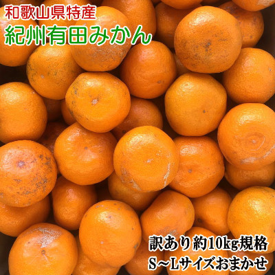 [訳あり]和歌山有田みかん約10kg(S～Lサイズいずれかお届け)【上富田町】