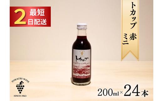十勝ワイン ミニボトル24本（赤）200ml×24本 赤ワイン 飲み切り お申込みから最短2日発送