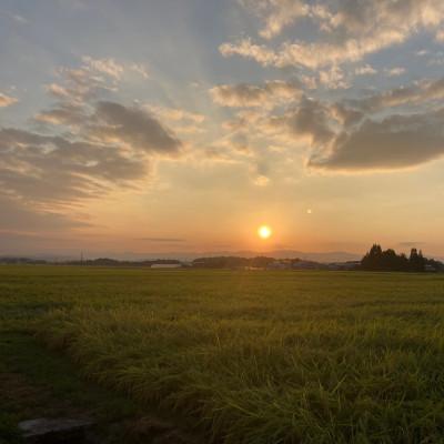 ふるさと納税 新庄市 魅惑のはえぬき(精米)1kg 令和6年産 |  | 03