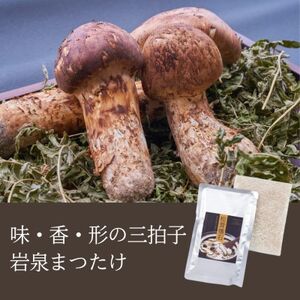 岩泉産松茸釜めし2合炊き(2～3人前)手軽に「岩泉まつたけ」ブランドの松茸ご飯を!お米付きで簡単調理【1724113】