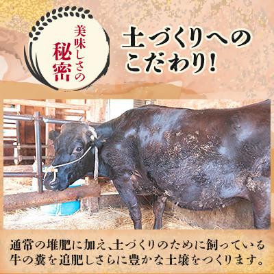 ふるさと納税 川西町 【令和7年産】山形県産 特別栽培米 つや姫 精米 30kg(10kg×3) なおちゃんファームのお米 |  | 02