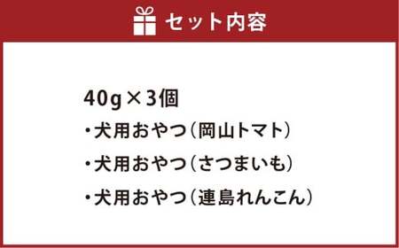 犬用カリカリおやつ【人気トップ3】 40g×3個（計120g） ペットフード 犬 ペット ドッグフード カリカリ 犬用おやつ 健康 低カロリー 日用品 雑貨