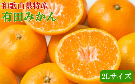 [秀品]和歌山有田みかん約9kg(2Lサイズ)★2025年11月中旬～2026年1月中旬頃より順次発送【tec831A】