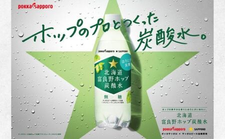 北海道 定期便 2ヵ月 連続 全2回 炭酸水 500ml × 24本 北海道富良野ホップ炭酸水 グリーンシャワー ポッカサッポロ 無糖 北海道富良野ホップ ペットボトル 炭酸飲料 炭酸 ソーダ ソーダ