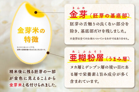 【令和7年産 白米】金芽米 サキホコレ 10kg（5kg×2袋） 玄米の栄養を残した白米 とがずに簡単炊飯 きんめまい