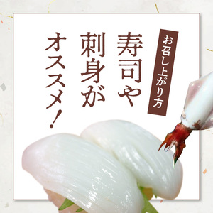 沖永良部島 イカ の 王様 ！ ソデイカ 3kg C010-017 魚介 海鮮 寿司 真空パック 鍋 沖永良部島漁業協同組合 ふるさと納税 知名町 おすすめ ランキング プレゼント ギフト