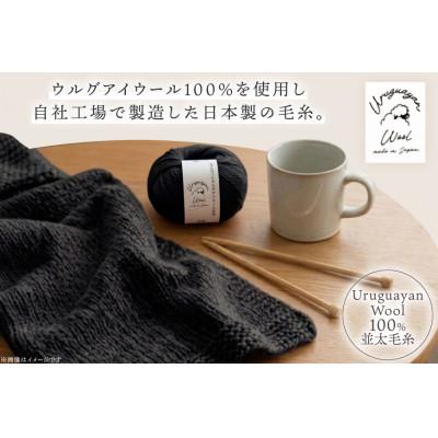 ふるさと納税 江南市 あみもねっと ウルグアイウール並太 30番色 10玉セット |  | 01