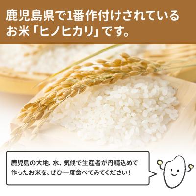 ふるさと納税 南九州市 鹿児島県産ヒノヒカリ5kg |  | 02