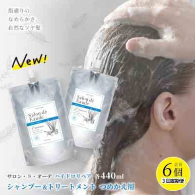 ふるさと納税 四万十市 【3回定期便】サロン・ド・オーデ ハイドロリペア シャンプー&amp;トリートメント詰替え2点セット 26