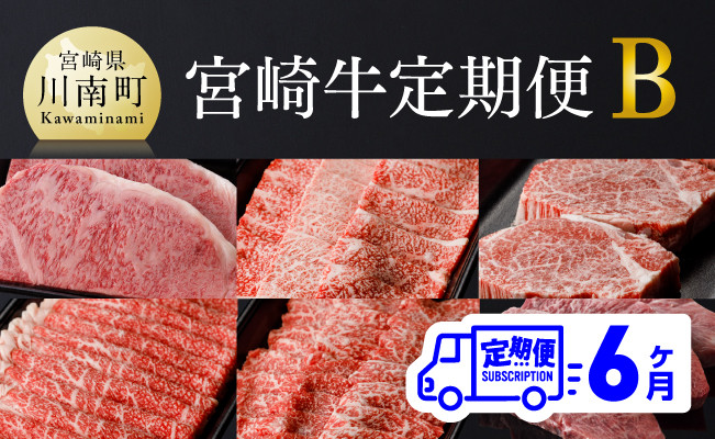 【６ヶ月定期便】 宮崎牛定期便B 肉 牛 牛肉 宮崎牛 牛肉ステーキ 牛肉スライス 牛肉焼肉 牛肉定期便 牛肉セット BBQ牛肉 送料無料牛肉 [D0677t6]