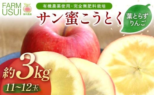 有機農薬使用・完全無肥料栽培「サン蜜こうとく」葉とらずりんご約3kg（11～12玉） F7X-0473