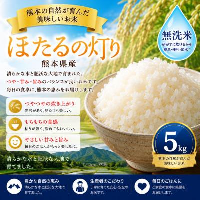 ふるさと納税 玉名市 【熊本県産】 ほたるの灯り 無洗米 5kg