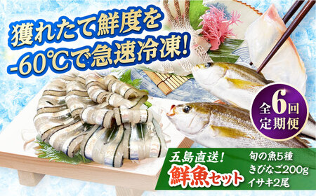 【全6回定期便】超速冷凍鮮魚7種（鮮魚5種+冷凍きびなご200g+焼物用いさき2尾）五島市/金沢鮮魚[PEP070]