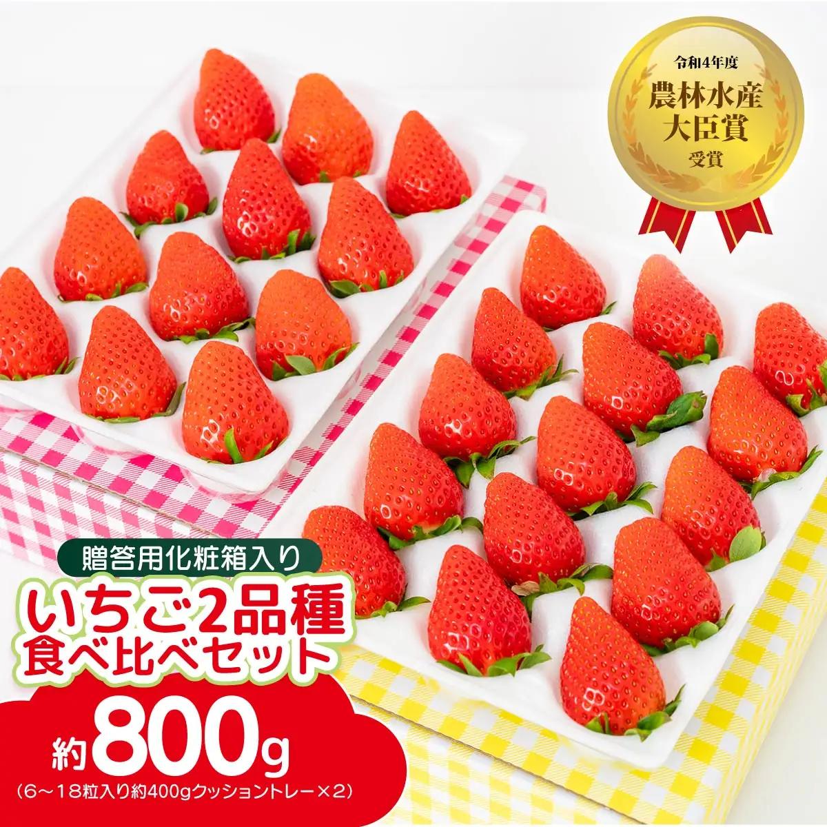 いちご 2品種食べ比べセット 計800g 農林水産大臣賞受賞 いちご