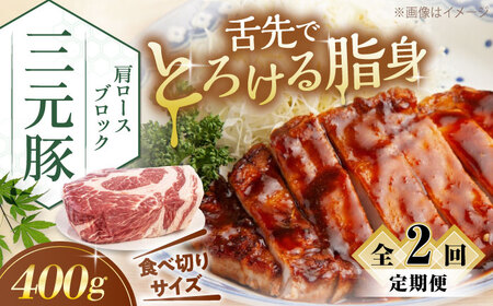 【全2回定期便】平田牧場 肩ロース ブロック 400g  豚肉 ローストポーク 煮豚 [AJAP160]