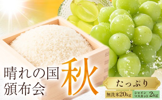 晴れの国頒布会 秋 たっぷり 無洗米 20kg シャインマスカット 2kg《ページ内記載の時期に発送》岡山県 笠岡市 フルーツ 旬 果物 葡萄 ぶどう コメ お取り寄せ